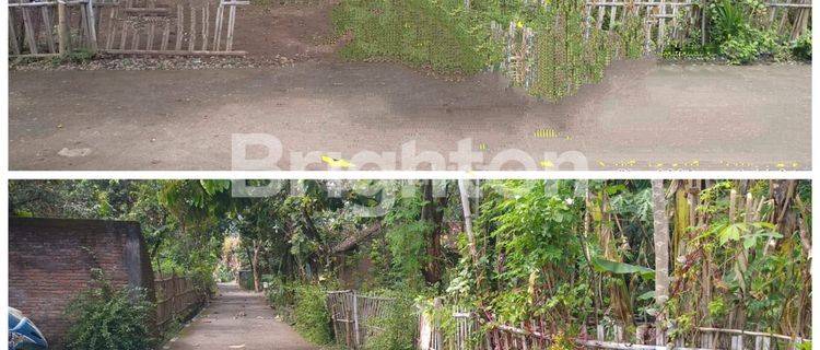 TANAH PEKARANGAN DEKAT KAMPUS AKFIS 1