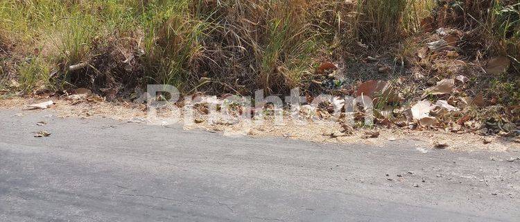 TANAH MURAH SIAP BANGUN NGEMPLAK 1