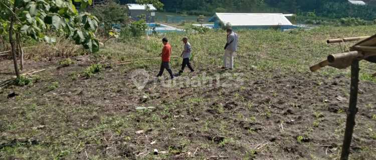 Lahan Zona Industri Lokasi Tangen,Sragen Luas 41 Ha 1