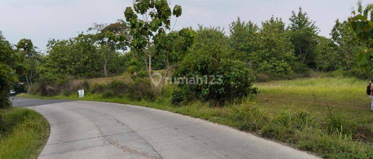 Dijual lahan industri lokasi Nogosari Boyolali sangat strategis Luas 22 Ha BU! 1