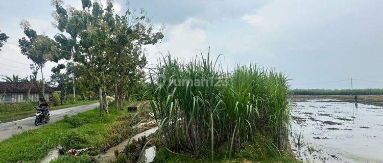 Dijual tanah zona merah industri lokasi Ngawi, Luas 2.4 Ha BU! 1