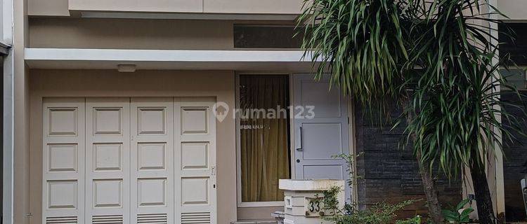 Disewakan Rumah Siap Huni Rumah Cluster Canary 2 Lantai 1