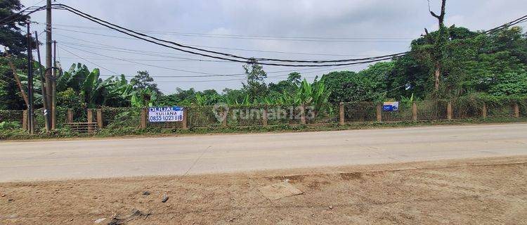 Dijual Tanah di Lumpang, Parung Panjang, Bogor 1