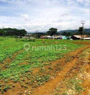 Tanah Perkebun Di Sukabumi - Lokasi Sangat Strategis Dan Bernilai Investasi Tinggi. Cocok Untuk Agro Wisata 1