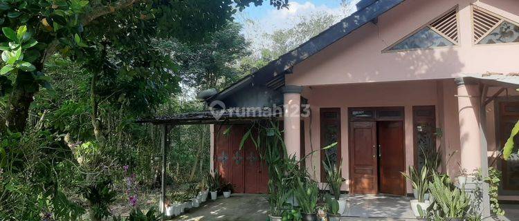 Rumah Murah Nyaman Dan Bagus di Grobogan 1