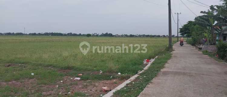 Jual Murah Kavling Pinggir Jalan Di Sukawangi Kabupaten Bekasi Jawa Barat 1