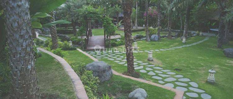 Pasti Deal Di Jual Villa Dengan View Sawah Lokasi Brawa Canggu Kuta Utara Badung
 1