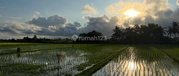 Hot List Di Jual Tanah Lokasi Kedungu Tabanan 1