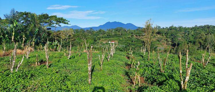 Hot List Di Jual Tanah Lokasi Katung Kintamani Bangli 1