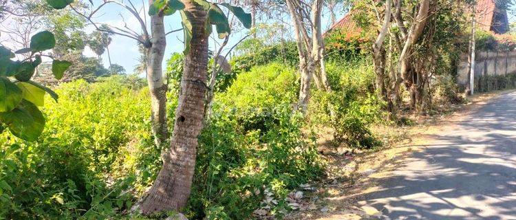 Hot List Di Jual Tanah View Laut Lokasi Pantai Pering Blahbatuh Ubud Gianyar 1