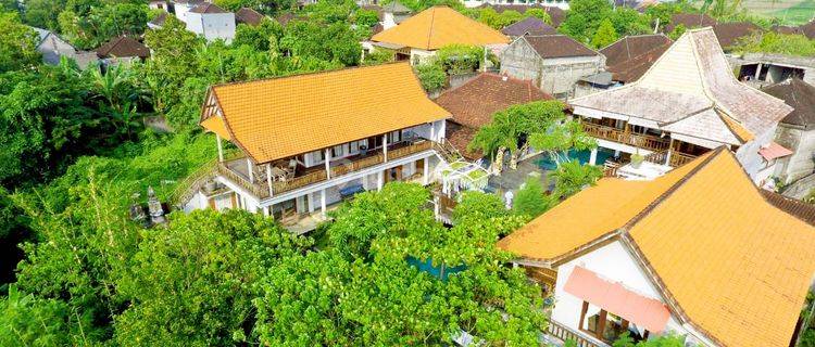 Hot List For Sale Guesthouse Location Padonan Kuta Utara Badung 1