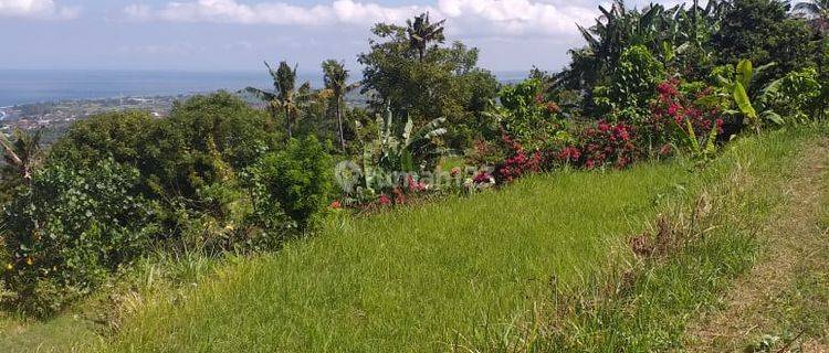 Hot List Di Jual Tanah View Laut Lokasi Goa Lawah Pesinggahan Dawan Klungkung 1