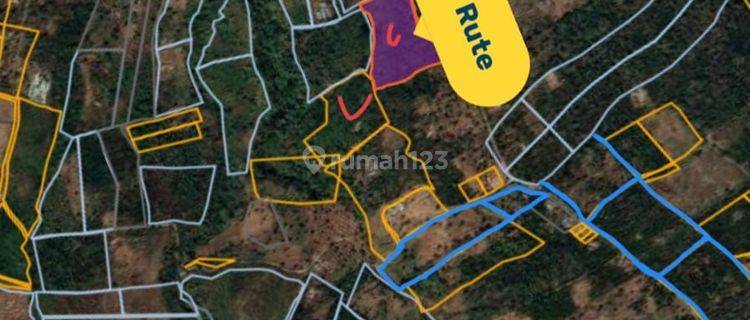 TOP URGENT DI JUAL TANAH VIEW LAUT & GUNUNG LOKASI KAYU PANDAK GESING BANJAR BULELENG
 1