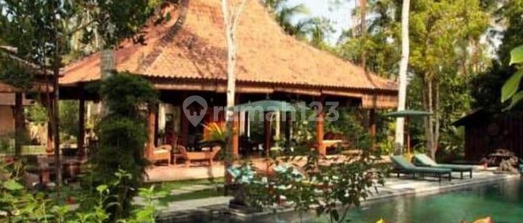 TOP URGENT VILLA FOR SALE LOCATION PAYANGAN UBUD GIANYAR FOREST VIEW. 1