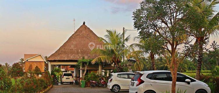 TOP URGENT DI JUAL VILLA COMPLEX LOKASI PEJENG UBUD GIANYAR 1