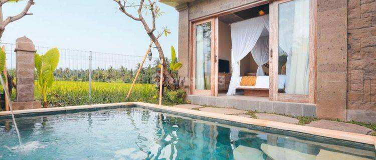 Pasti Deal Di Jual Villa Lokasi Kemenuh Ubud Gianyar  1