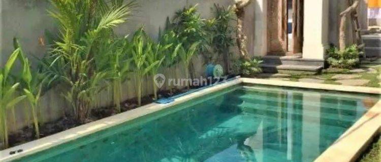 Hot List Di Jual Villa Brand New View Sawah Lokasi Pejeng Ubud Gianyar 1