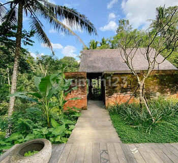 Hot List Di Jual Villa Complex Bintang 4 Hideaway View Sungai Dan Hutan Lokasi Ubud Gianyar 1