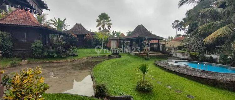 Hot List Di Jual Villa Lokasi Tegallalang Ubud Gianyar  1