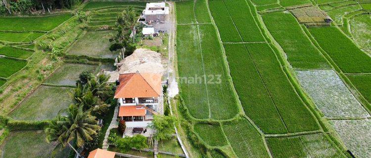 Hot List Di Jual Brand New Villa Lokasi Abiansemal Badung 1