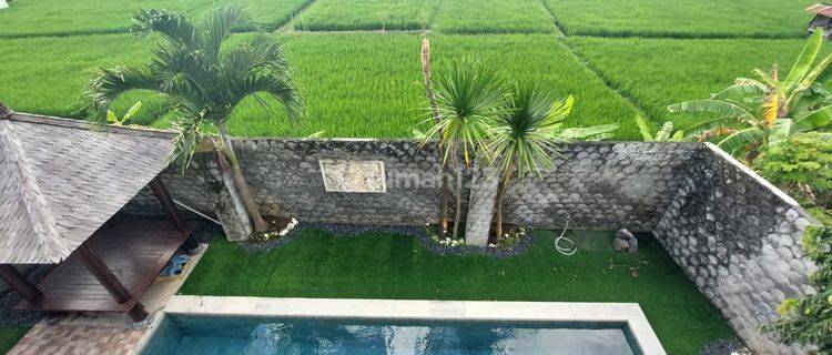 Hot List Di Jual Villa View Sawah Lokasi Batu Belig Seminyak Kuta  1