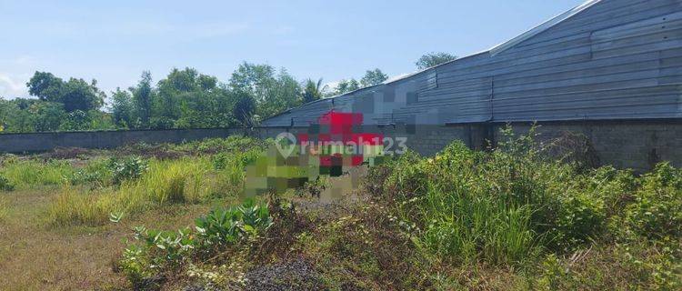 Hot List Di Jual Tanah Pinggir Jalan Utama Lokasi By Pass Jimbaran Kuta Selatan Badung 1