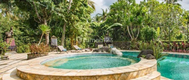 Hotel in Ubud, Gianyar SHM With Rice Field View 1