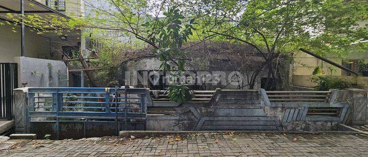 Rumah Tua Dijual Hitung Tanah Taman Ratu Luas Tanah 150m2 1