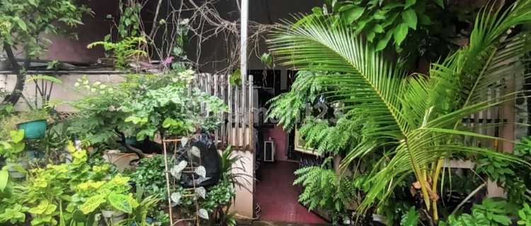 Rumah Tua Imperial Luas 115M Hadap U Lingkungan Nyaman Masih Nego 1