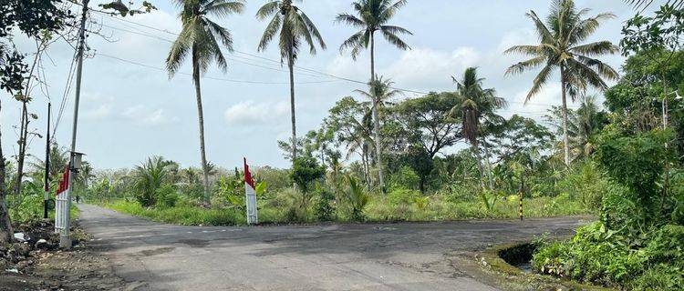 Termurah, Tanah SHM P Belakang Kampus Uii Jogjakarta 1