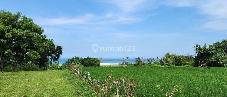 Tanah Kavling Beachfront View Sawah Laut di Pantai Belong Tabanan 1