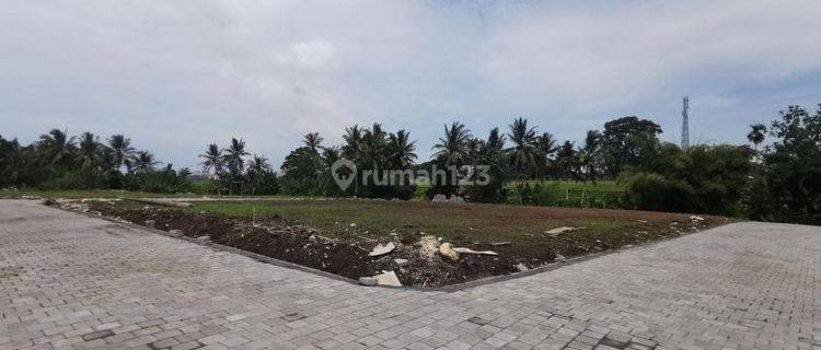 Tanah Kavling Murah Di Dekat Pantai Kedunggu Dan Dekat Ke Canggu 1