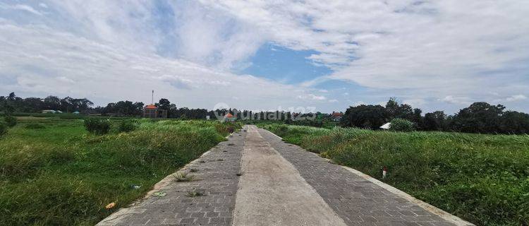 Dijual Tanah Kavling Murah View Sawah di Tabanan Dekat Ke Pantai 1