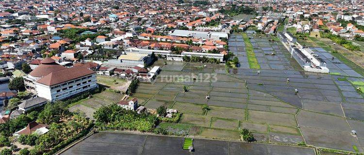 Cheap Land Plot for Sale in West Denpasar Area Near Seminyak 1