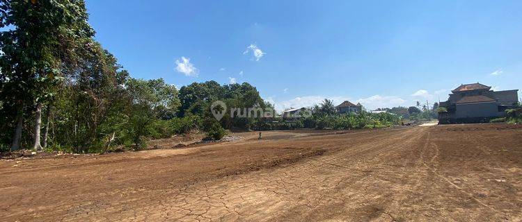 Exclusive Riverside Plot with View of Rice Fields in Tabanan 1