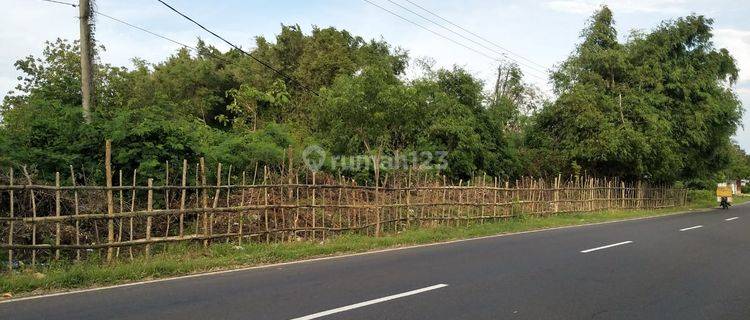 Dijual Tanah Bangkalan Madura Jalan Raya 1