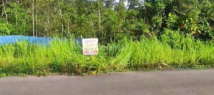 Tanah Comersial Akses Jalan Bagus Depan Peternak Ikan Arwana 1