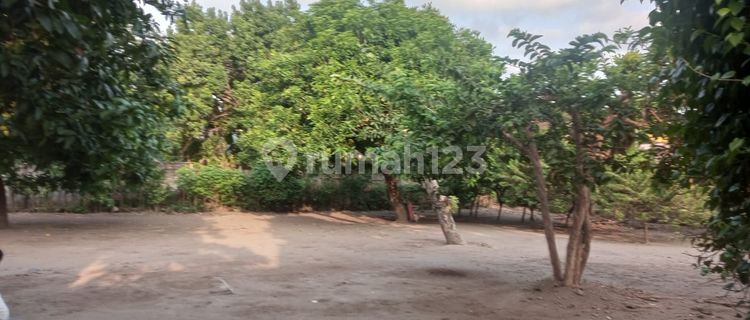 Jual Rumah Hitung Tanah Pinggir Jalan di Kediri Jawa Timur 1