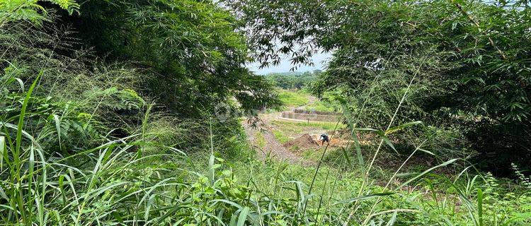 Tanah Dijual Sawah Dan Kebun 1