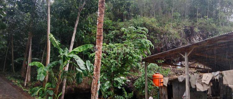 Tanah di jalan raya Pantai Baron cocok untuk hotel, homestay dan usaha  1