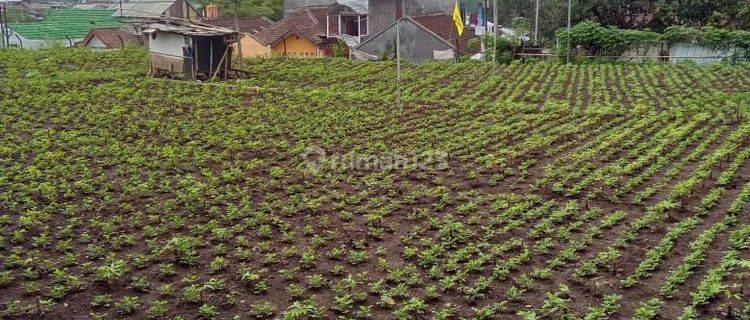 Kavling Siap Bangun Dalam Kota Salatiga 1