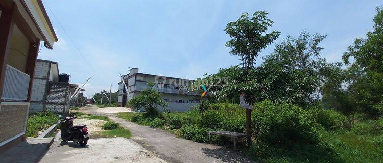 Dijual Tanah di Dekat Universitas Trunojoyo Bangkalan 1