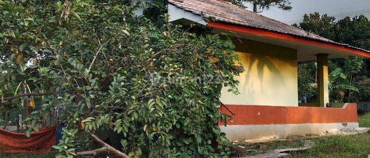 Tanah Kebun Durian Siap Panen Dengan Hunian Villa Siap Huni BU 1