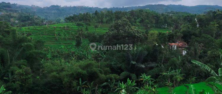 Dijual Tanah Murah Cocok Untuk Dibangun Perumahan Luas 2,6 Ha Daerah Sindanglaya Arcamanik Bandung 1