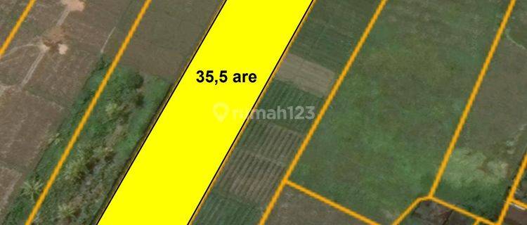 Dijual Tanah di Jl. Pantai Kelating, Tabanan Bali 1