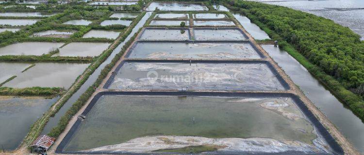 Tanah HGU 195 Ha Eks Tambak Dekat Pasar Lamurukung Bone 1