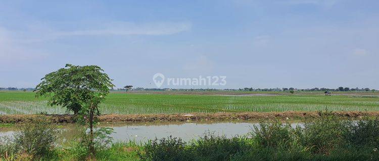 Dijual Tanah 2,3 Ha di Rengasdengklok Karawang Jawa Barat 1