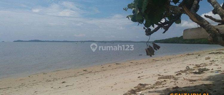 Tanah Strategis Siap Bangun Untuk Resor, Villa  Di Teluk Sebong, Bintan , Kepri, Riau 1