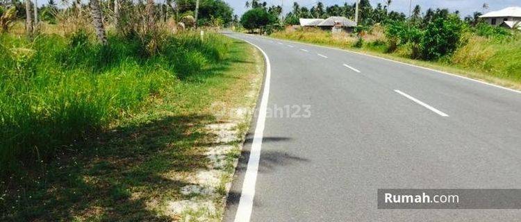 Kavling Pantai Untuk Pariwisata Bintan, Kepulauan Riau 1