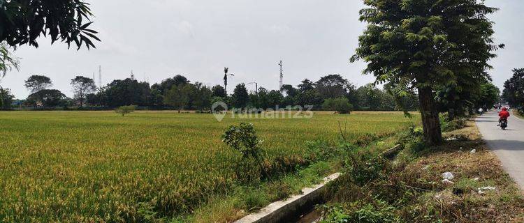 Dijual Kavling Sawah Luas Strategis Pinggir Jalan Raya Majalaya Karawang 1